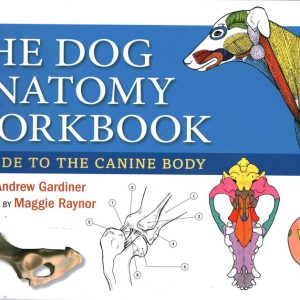 Dog Anatomy Workbook: A Guide to the Canine Body