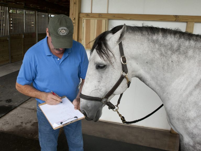 Arizona Certification Completion