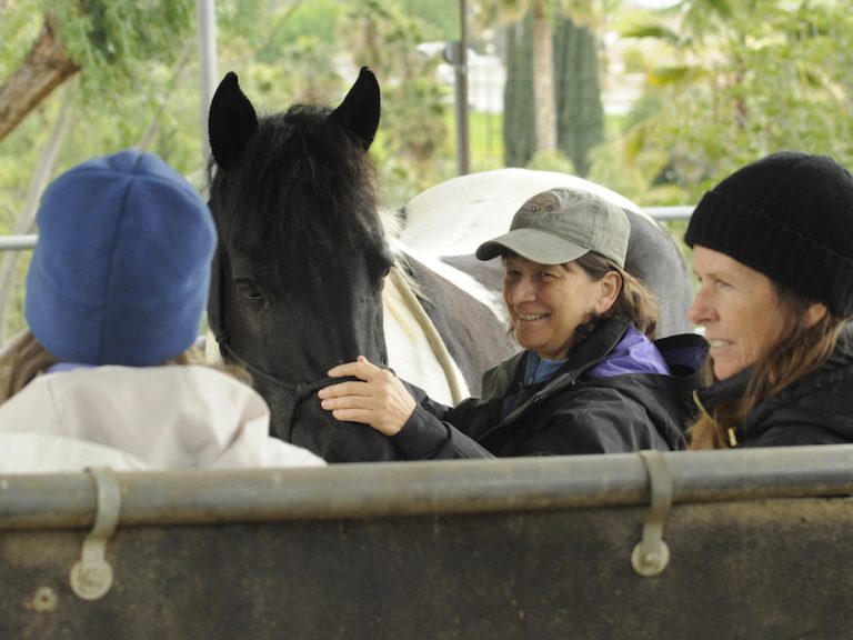 Ruinerwold, Netherlands: September 7-8, 2019 with Chaja Kolthoff-Voest