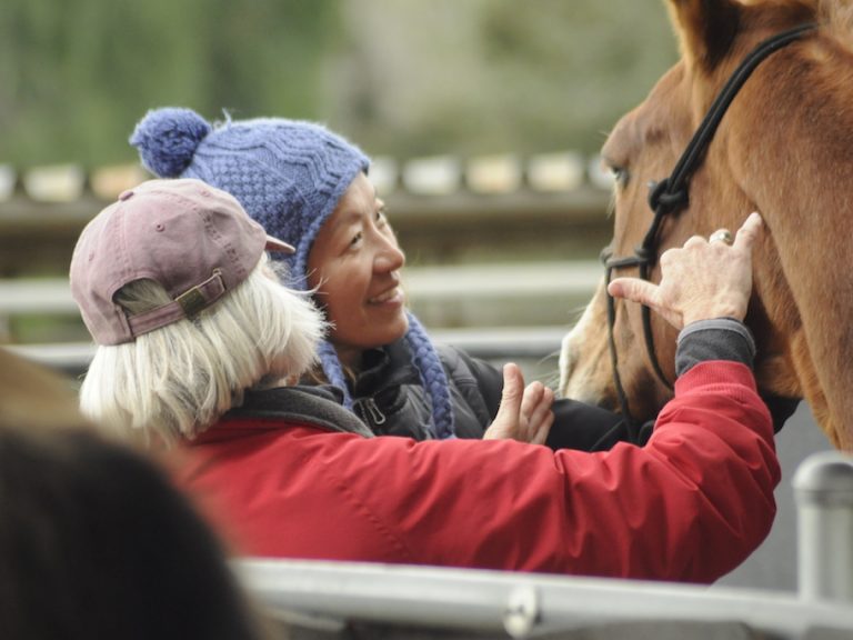 Byron, MN: October 19-20, 2019