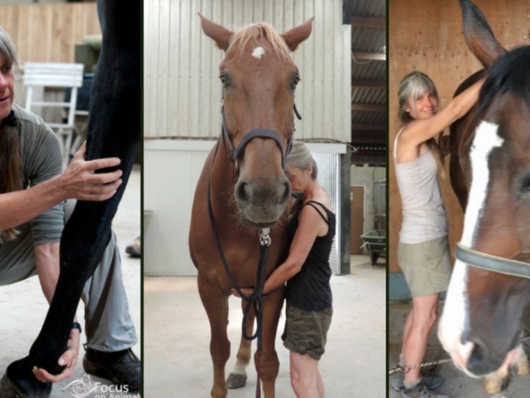 Miesenbach, Austria: October 26-27, 2019 with Lucie Klaassen