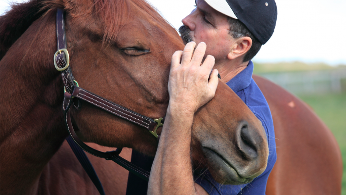 Masterson-method-equine-bodywork-1 Jim Masterson With Horse