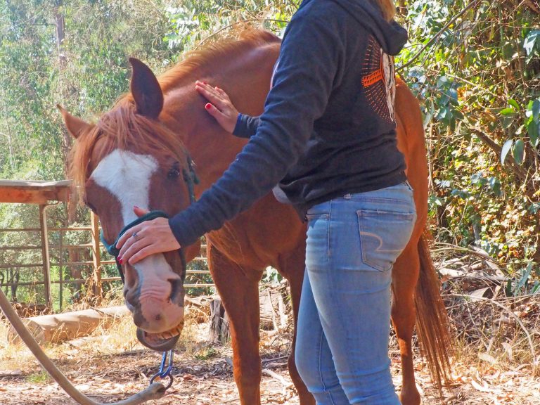 Neola, UT: September 7-8, 2019