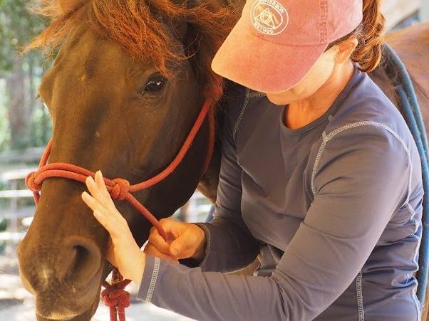 Field Work Course (Pay as you go)