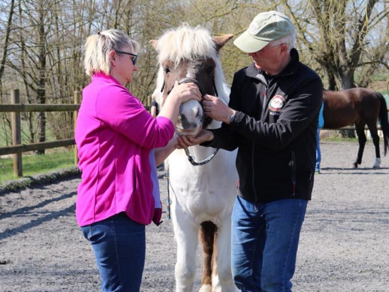 Tekamah, NE: November 2-3, 2019