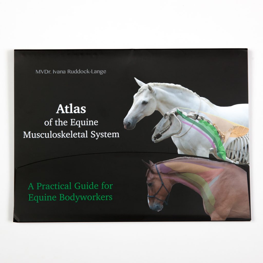 Atlas of the Equine Musculoskeletal System Masterson Method