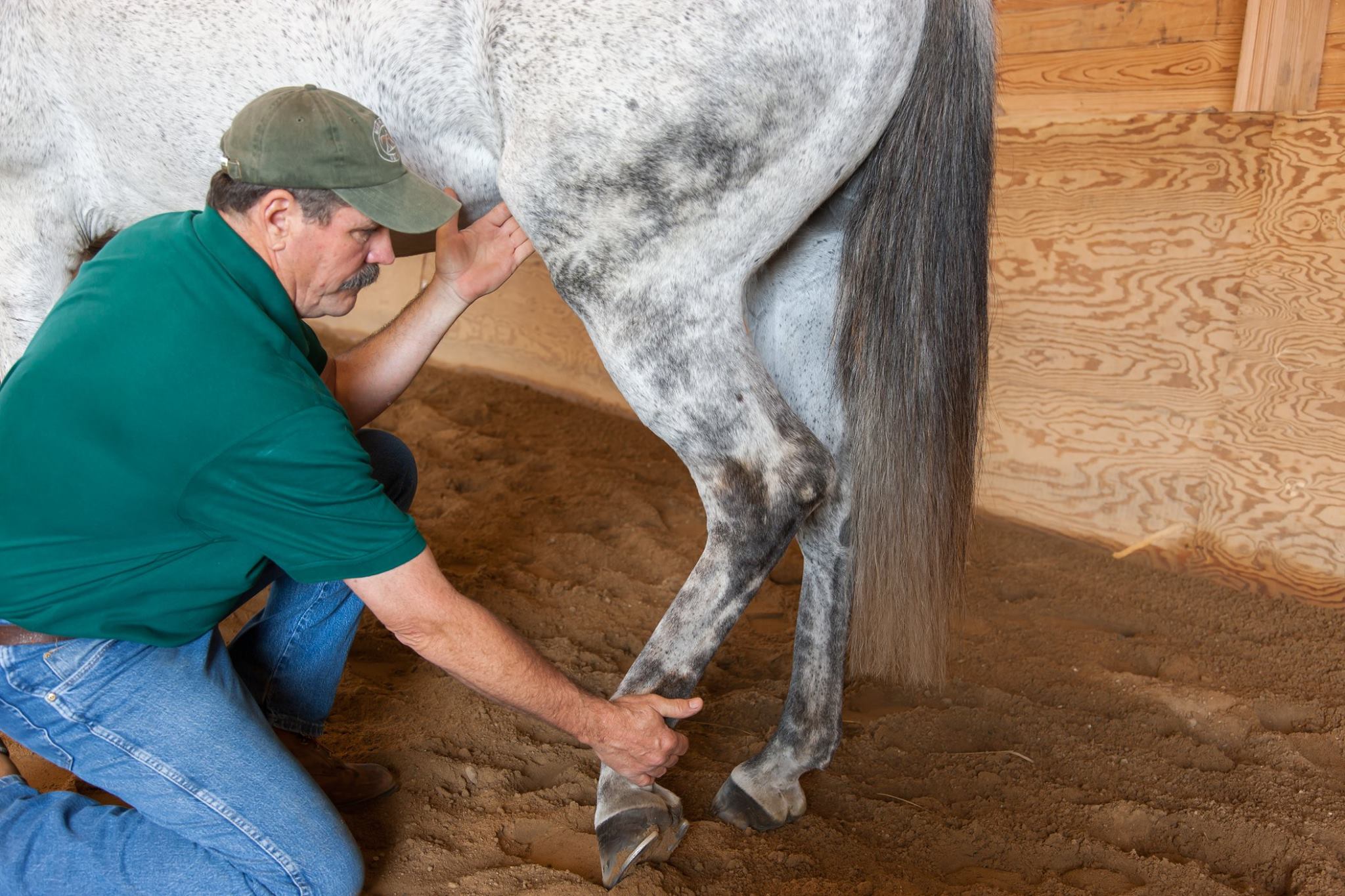 hind-leg-releases-masterson-method