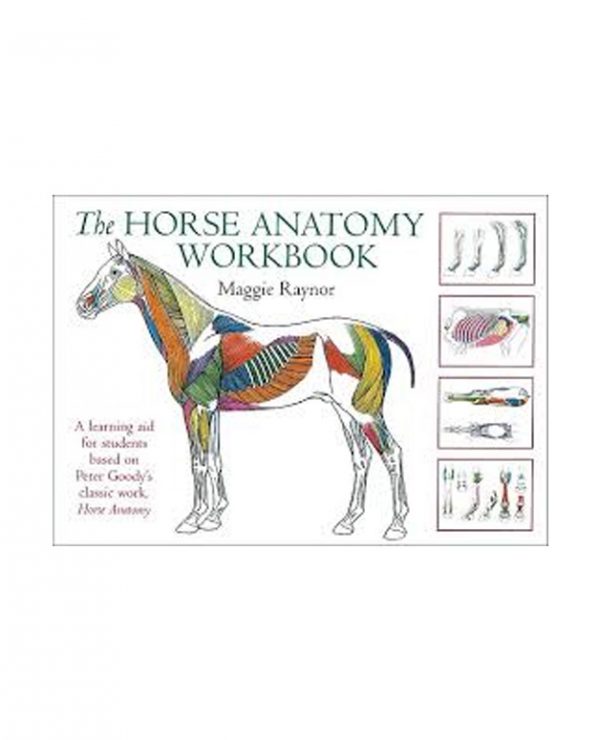The Horse Anatomy Workbook