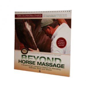 Beyond Horse Massage Easy-To-View Wall Chart