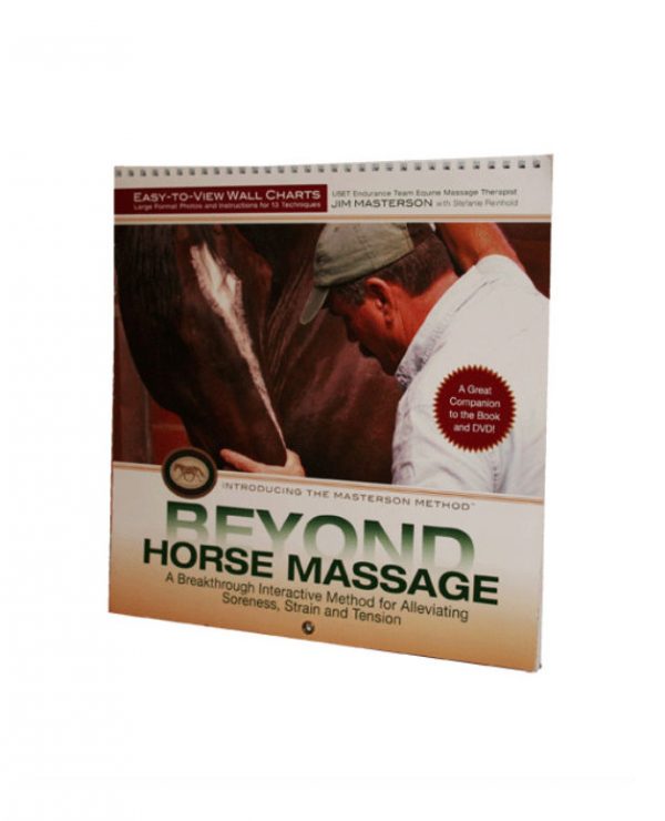 Beyond Horse Massage Easy-To-View Wall Chart