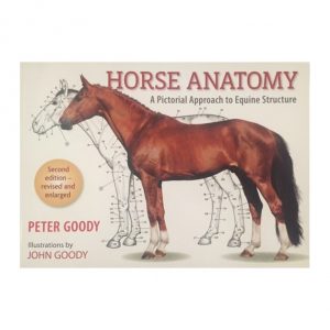 Horse Anatomy: Second Edition