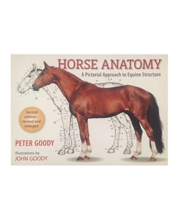 Horse Anatomy: Second Edition