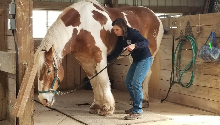 Lise Lunde working with horse