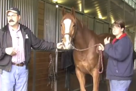 Masterson-Method-Where-to-Start