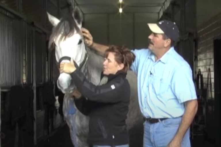 Screen Shot 2022-10-26 at 11.32.37 AM