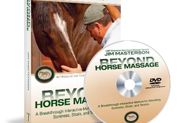 beyond-horse-massage-combo