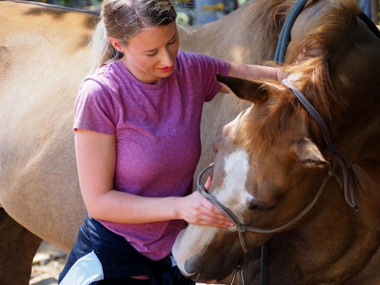 Student working with horse