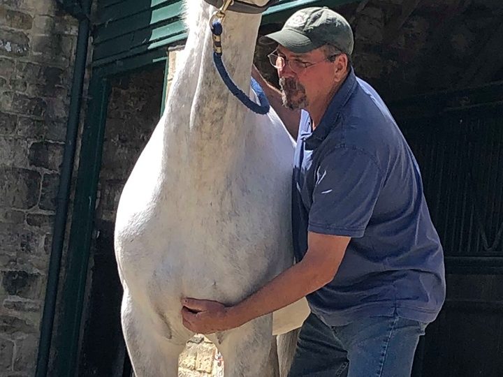 Jim Masterson helping horse to release