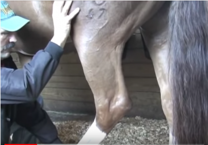 pelvis-release