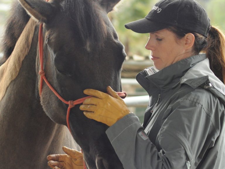 Student working with horse