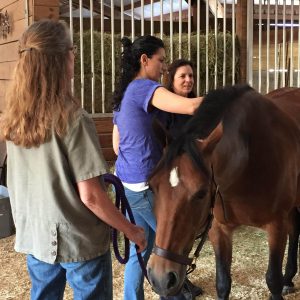 MMES Fieldwork & Certification