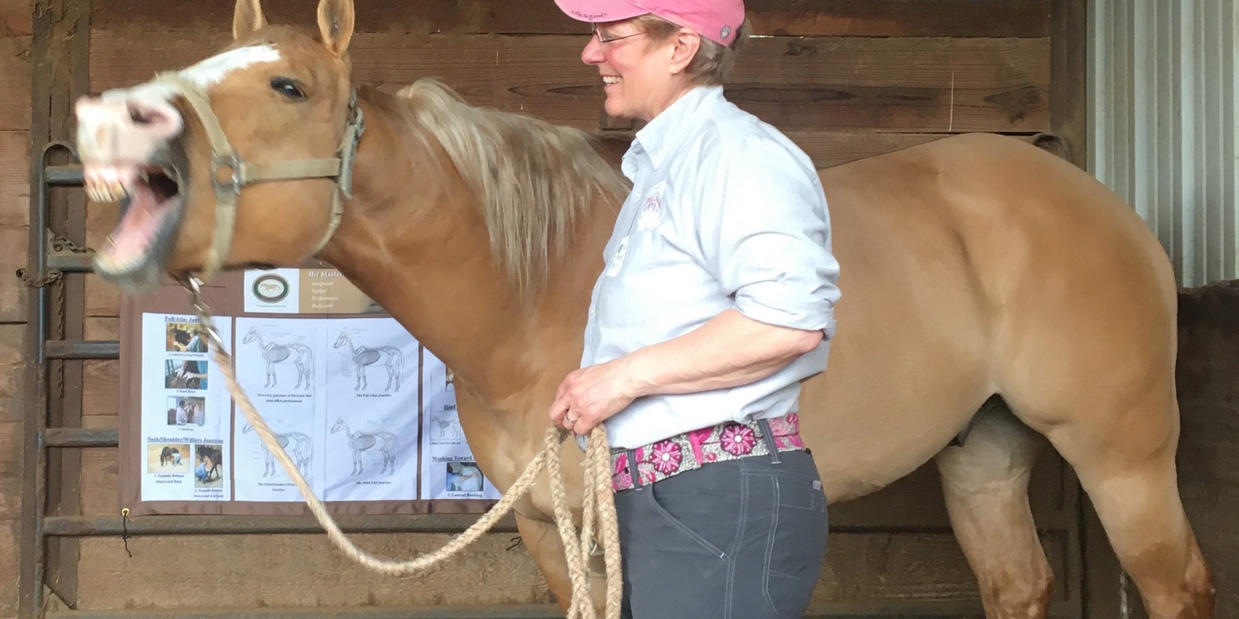 Becky Tenges with a horse Photo of Becky Tenges with a horse who is yawning.