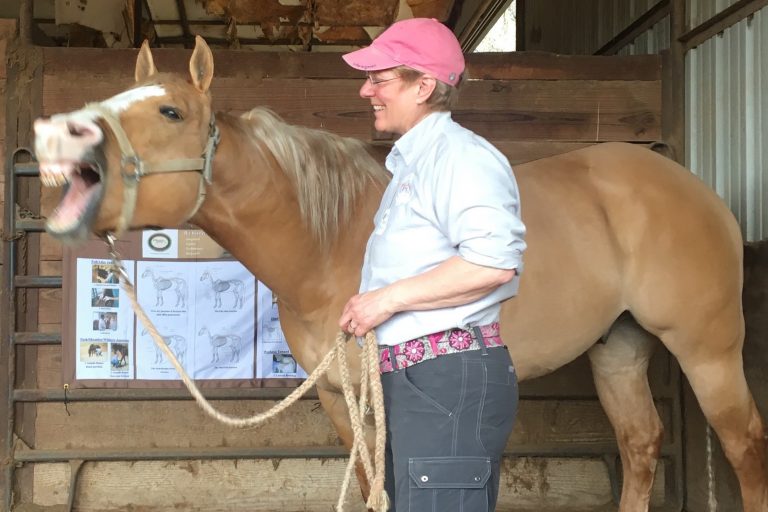 Photo of Becky Tenges with a horse who is yawning.