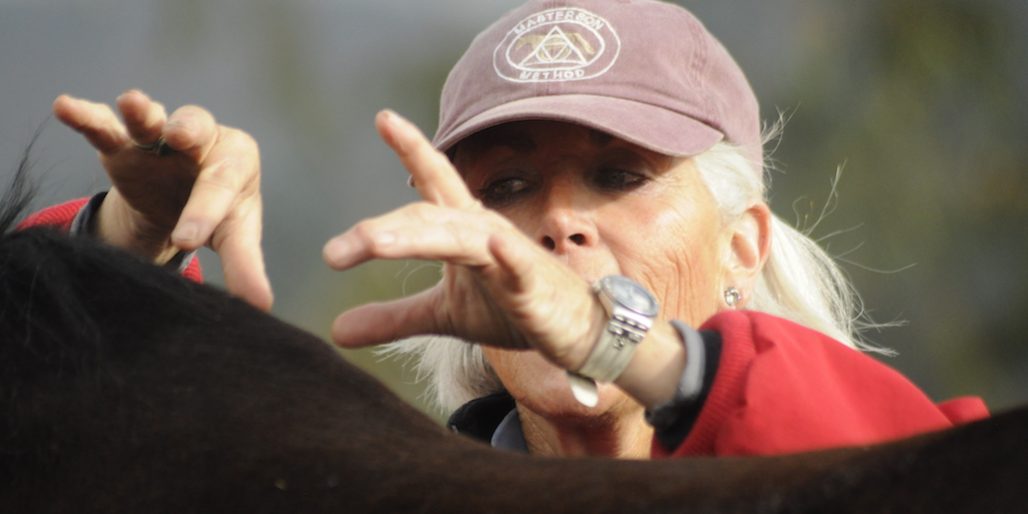 Sandy Vreeburg demonstrating Withers Wiggle on a horse's withers.