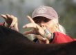 Sandy Vreeburg demonstrating Withers Wiggle on a horse's withers.