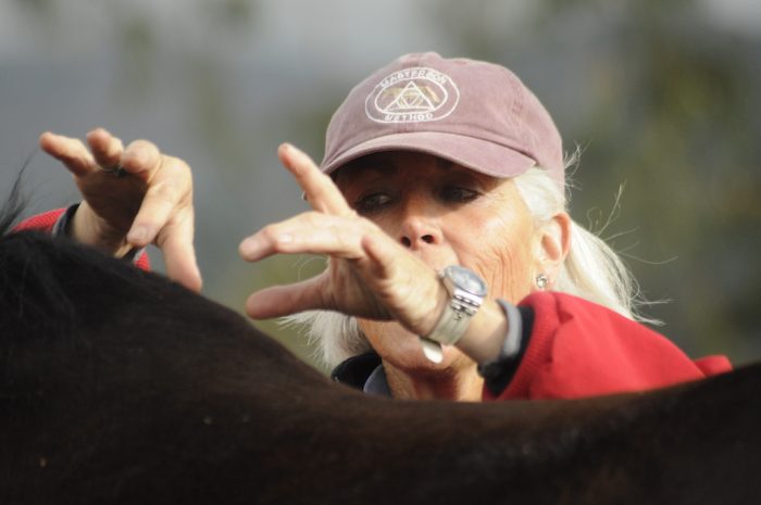 Sandy Vreeburg demonstrating Withers Wiggle on a horse's withers.