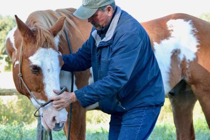 DSC_0046 jim by Crissi McDonalnd Jim Masterson Massaging a Horse