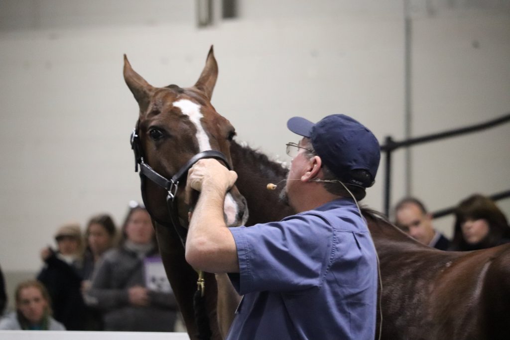 Rocky Mountain Horse Expo in Denver, CO with Jim Masterson February 28