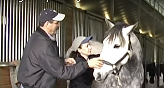 Screen Shot 2022-08-04 at 5.18.20 PM