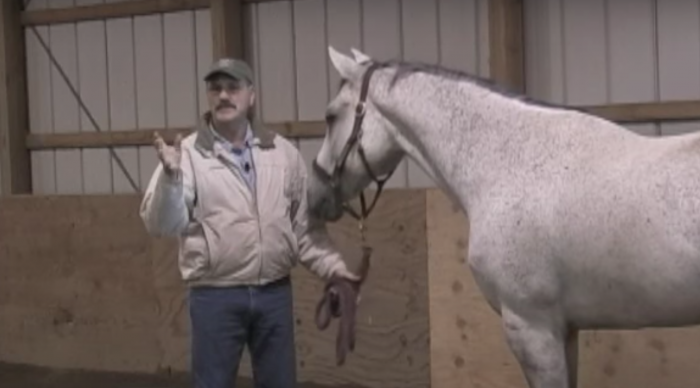 Screen Shot 2022-10-26 at 11.23.22 AM