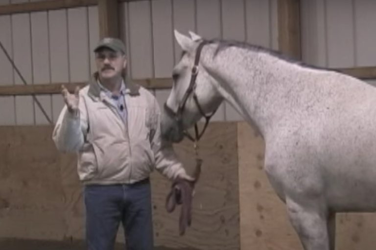 Screen Shot 2022-10-26 at 11.23.22 AM