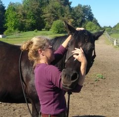 A woman working with a horse.