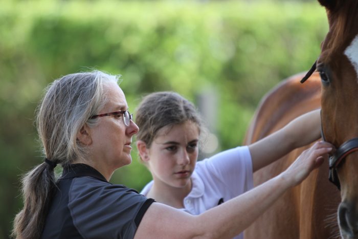 MeganDushin-Teaching