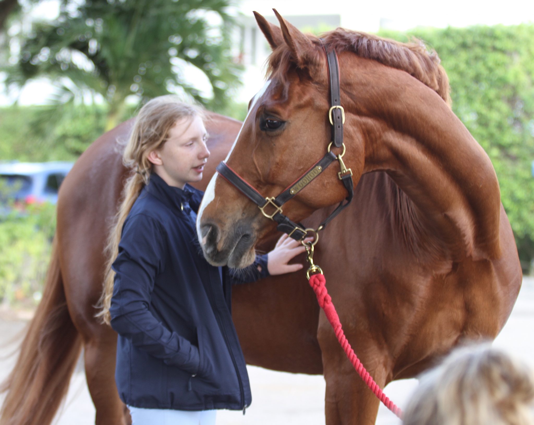 Bringing The Masterson Method ® into Equine-Assisted ...