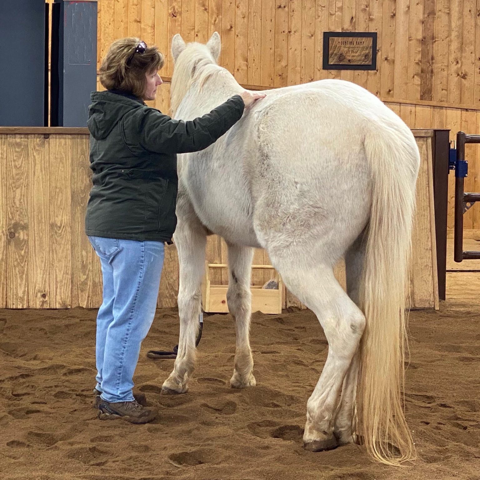 Bringing The Masterson Method ® into EquineAssisted Learning and