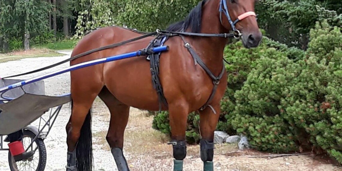 67232487_2547440685286692_1104319341152698368_o