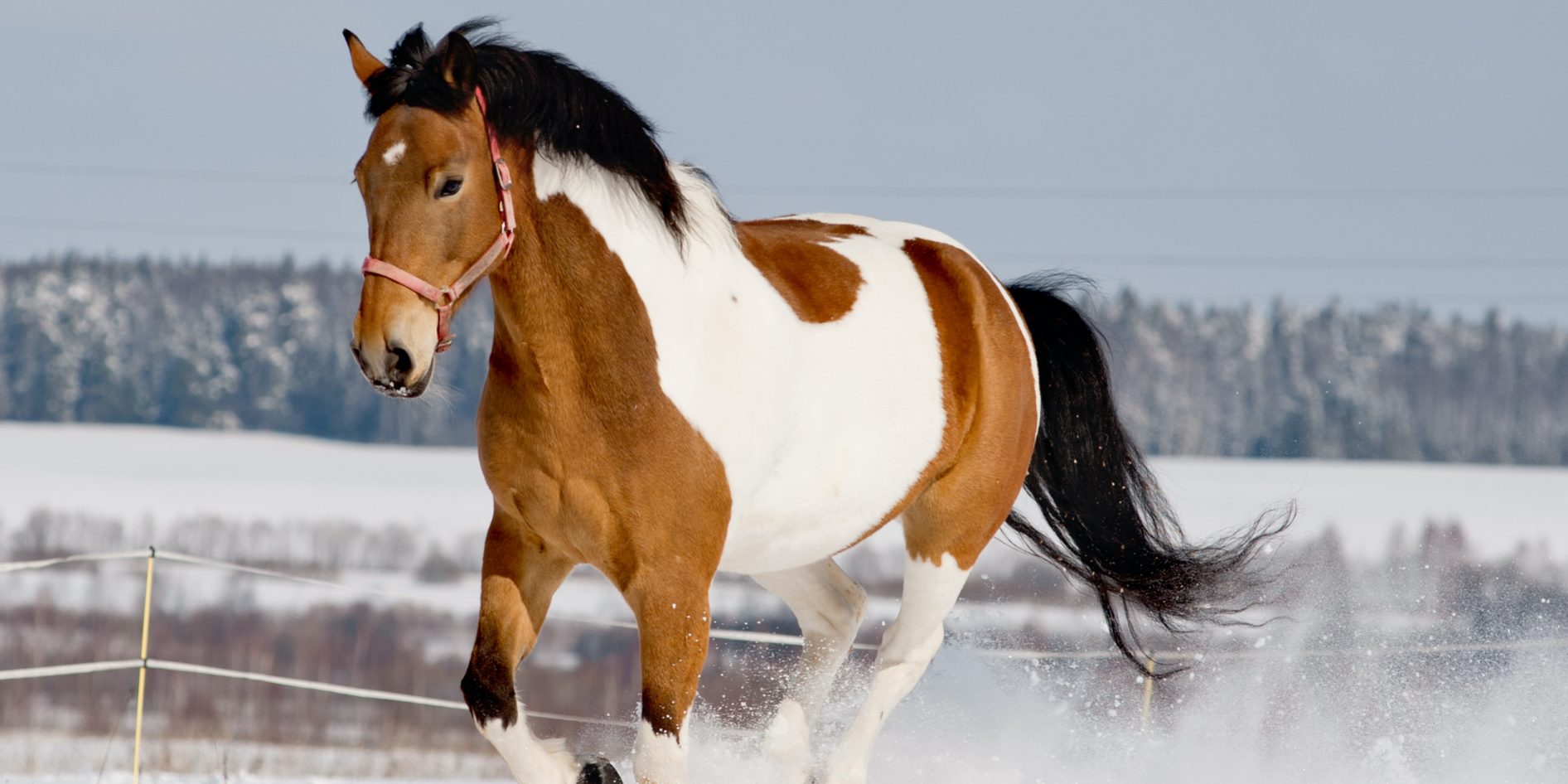 LeadChanges-blog post