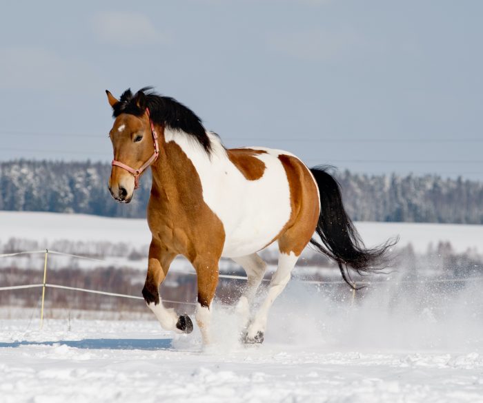 LeadChanges-blog post