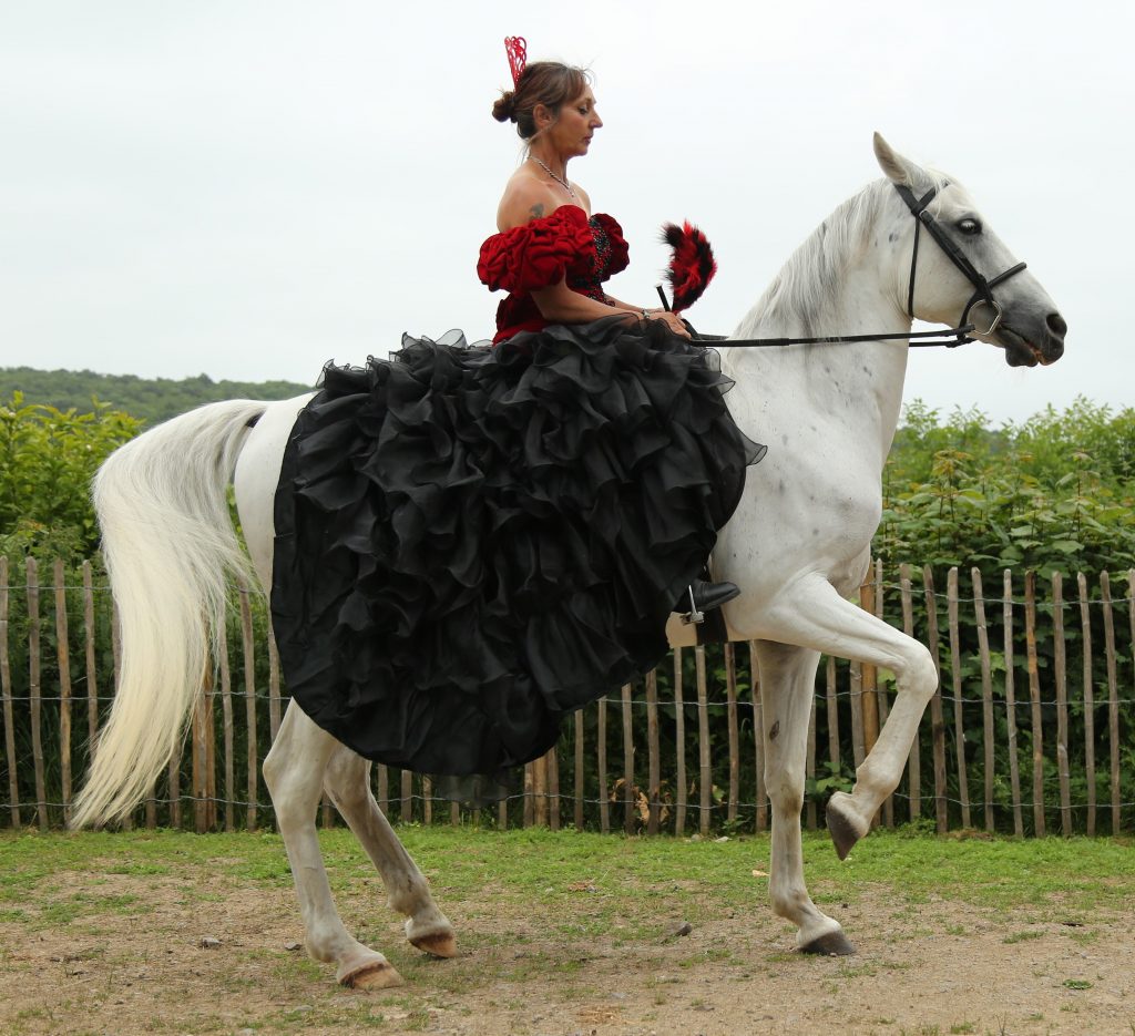 Melanie Fauske, MMCP | Certified Equine Practitioner | Masterson Method