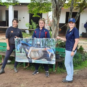 Midrand, Johannesburg, South Africa: Weekend Course, December 6-7, 2025 with Alexandra Davies