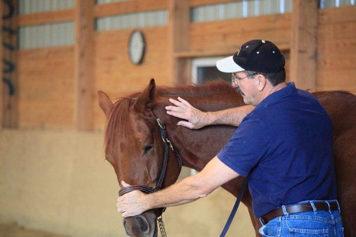 Jim Masterson, Lateral Cervical Flexion Technique Photo of Jim doing The Masterson Method Lateral Cervical Flexion Technique with a horse.