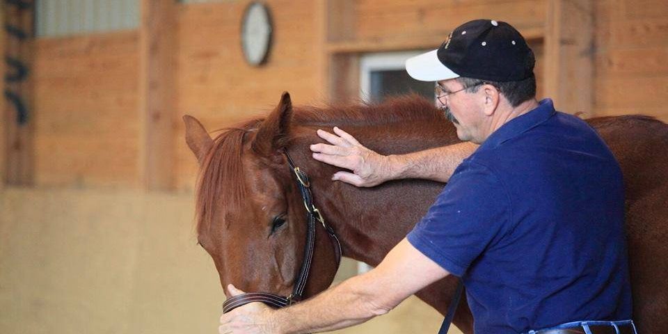 Jim Masterson, Lateral Cervical Flexion Technique Photo of Jim doing The Masterson Method Lateral Cervical Flexion Technique with a horse.