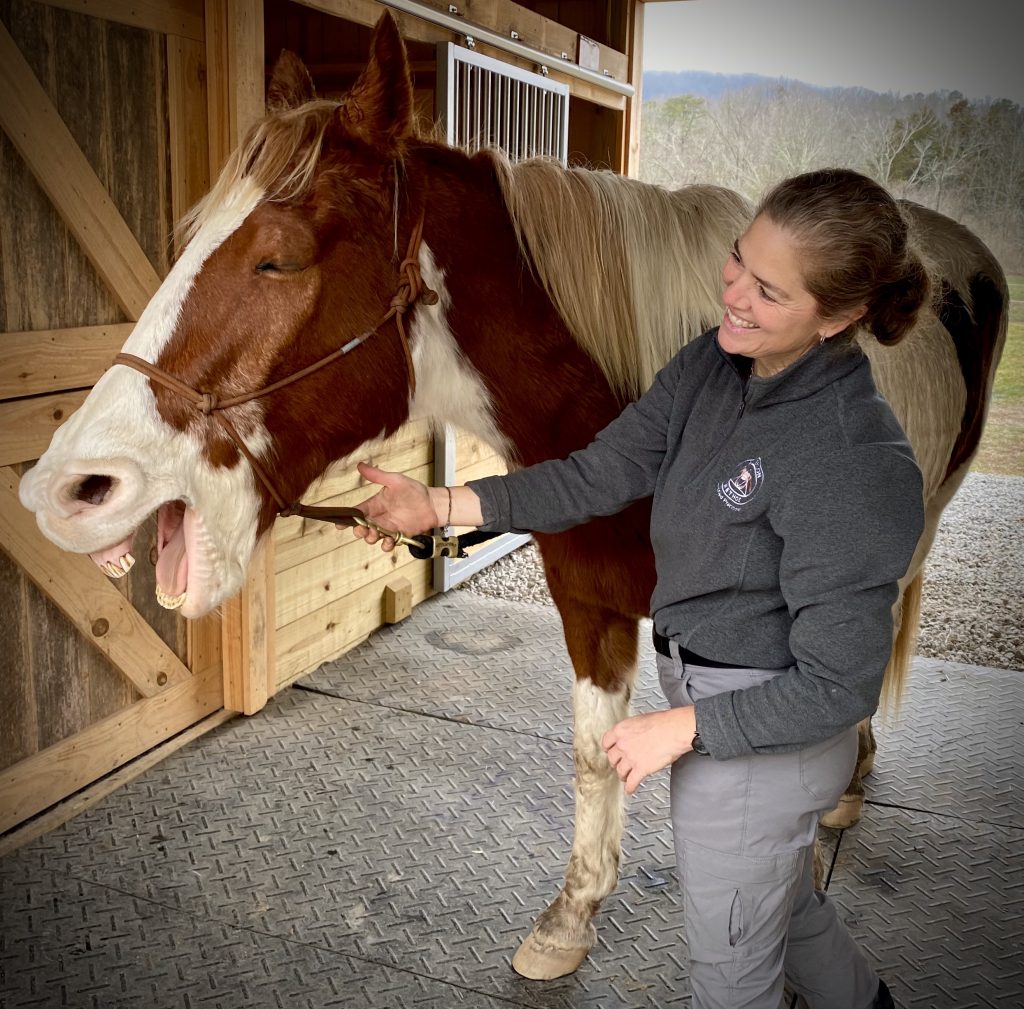 Stephanie Wilkins, Masterson Method Certified Practitioner Photo of Stephanie Wilkins doing Masterson Method bodywork with a horse that is yawning.