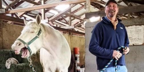 Jim holding a horse as he yawns, laughing