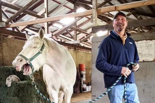 Jim holding a horse as he yawns, laughing