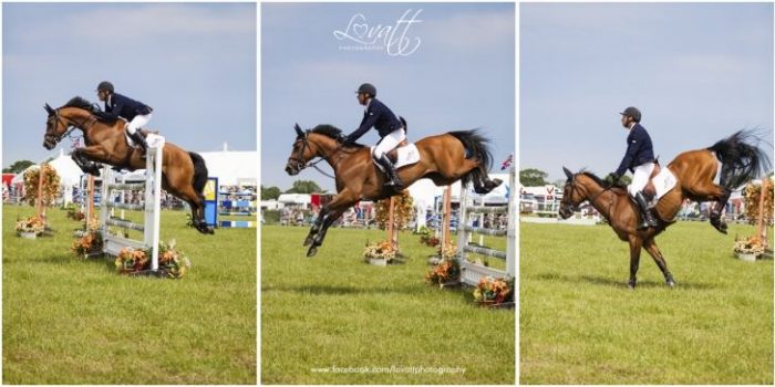 Blog- How a horse jumps